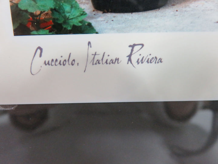 "Cucciolo" by J. Scanlan Photograph