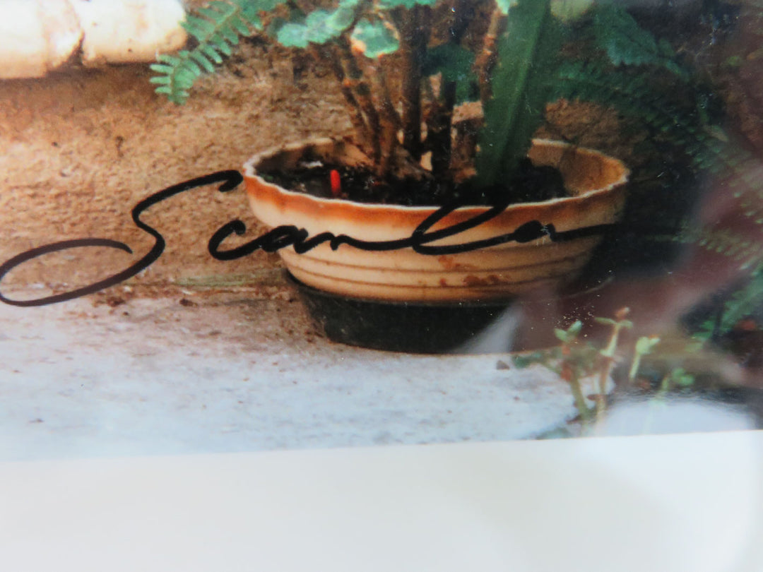 "Cucciolo" by J. Scanlan Photograph