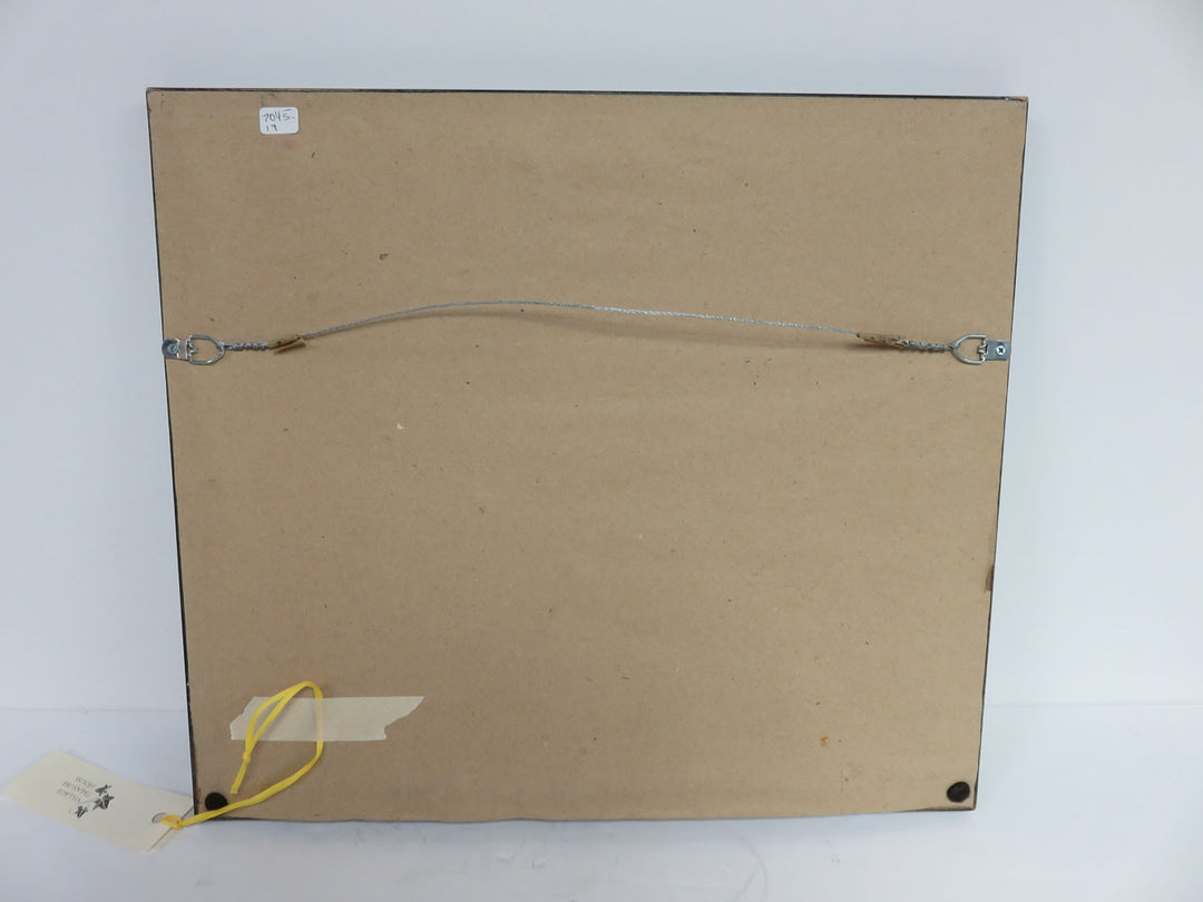 "Cucciolo" by J. Scanlan Photograph