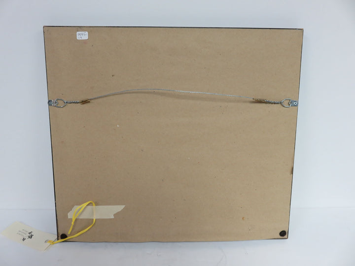 "Cucciolo" by J. Scanlan Photograph