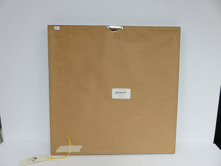 Bowl of Mixed Fruit Print