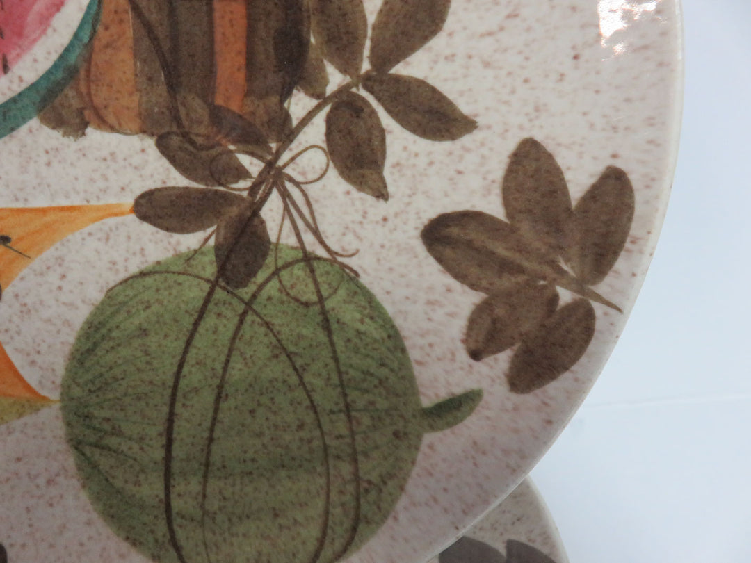 Red Wing Tampico Dinner Plates