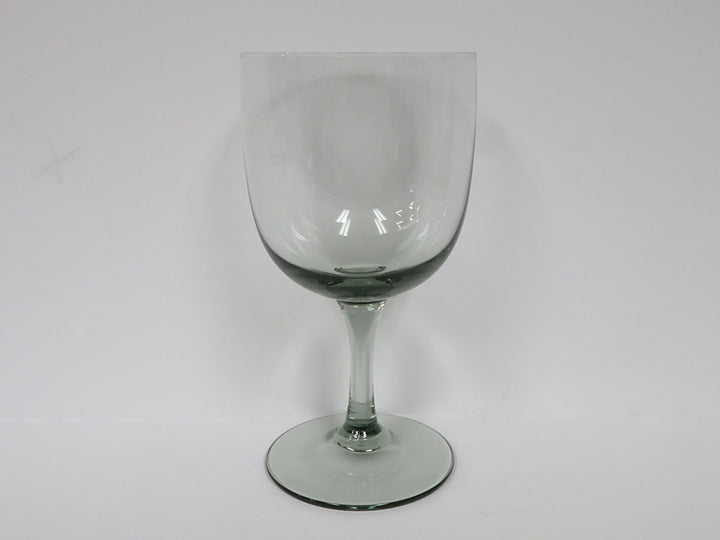 Tinted Wine Glasses