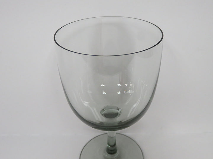 Tinted Wine Glasses