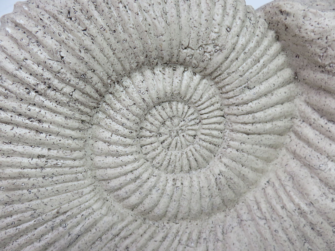 Ethan Allen Ammonite Sculpture
