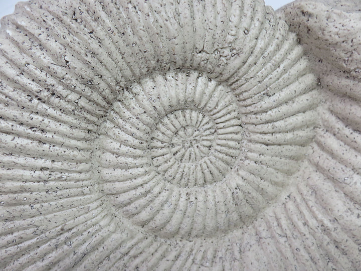 Ethan Allen Ammonite Sculpture