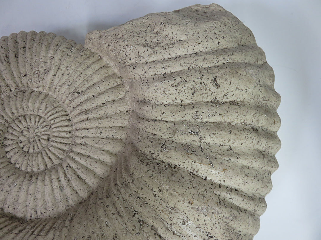 Ethan Allen Ammonite Sculpture