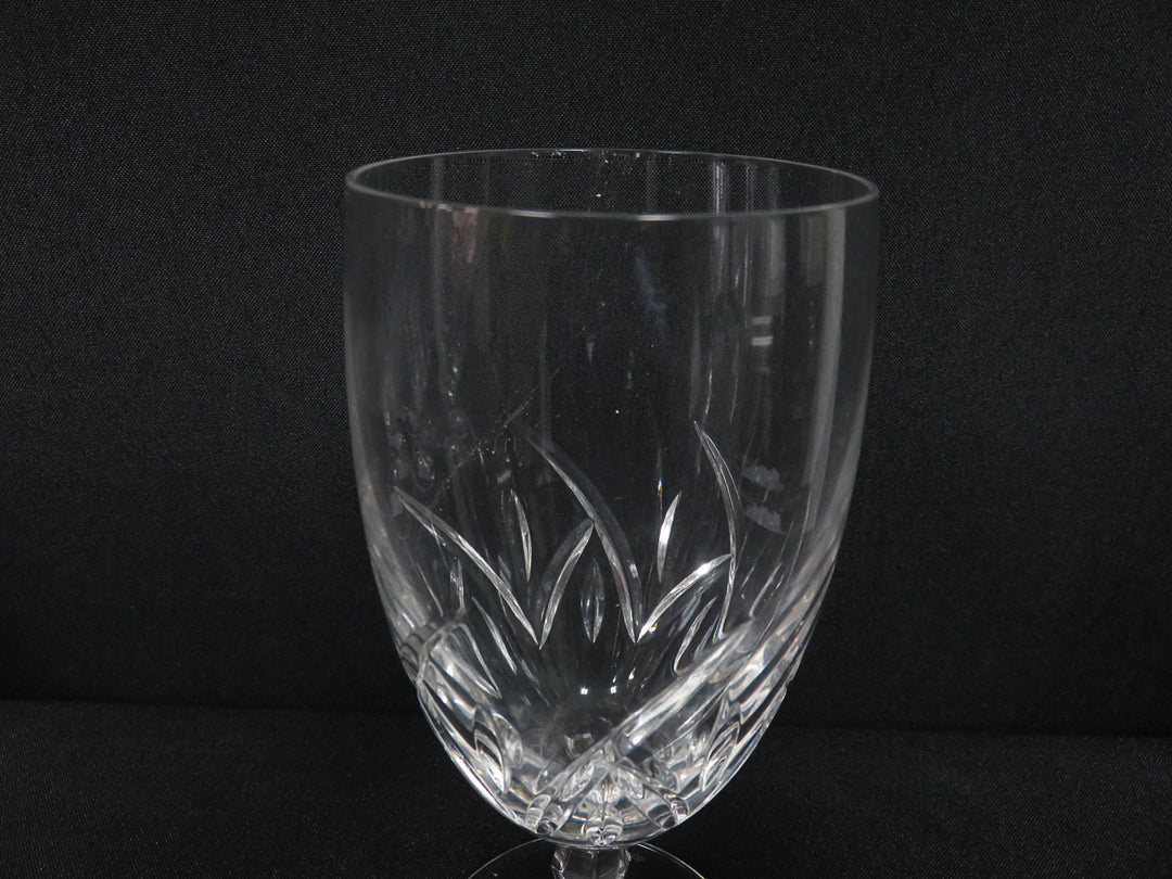 Waterford Lucerne Iced Beverage Glasses