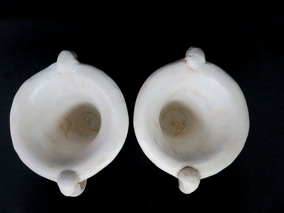 Pair Ceramic Urns