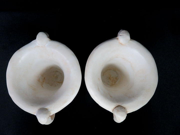 Pair Ceramic Urns