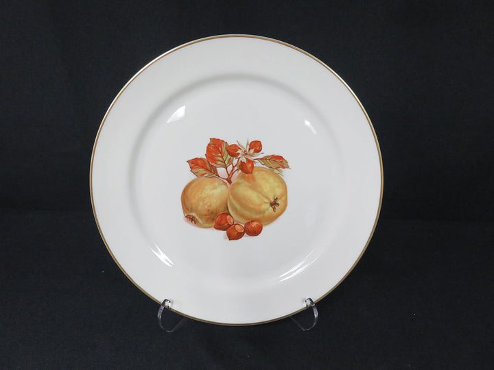 Pickard Dinner Plates