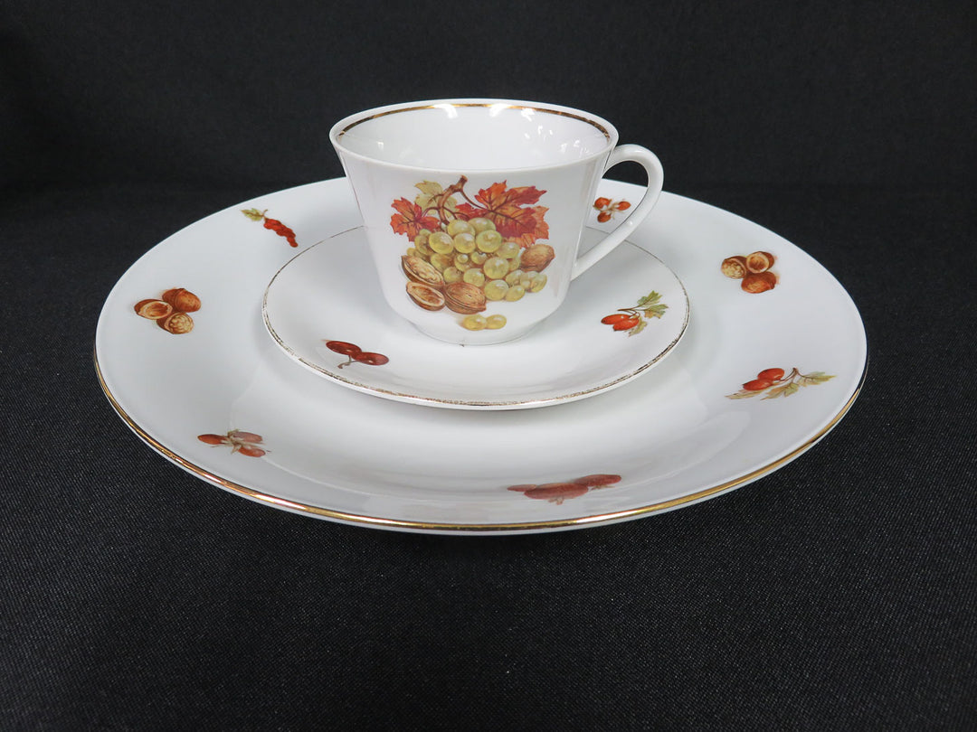 Seltmann Weiden Luncheon Set
