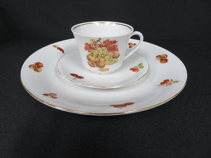 Seltmann Weiden Luncheon Set