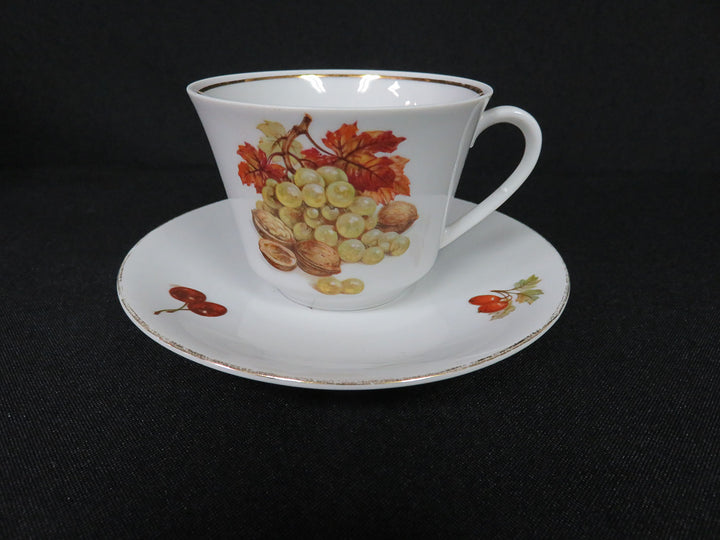 Seltmann Weiden Luncheon Set