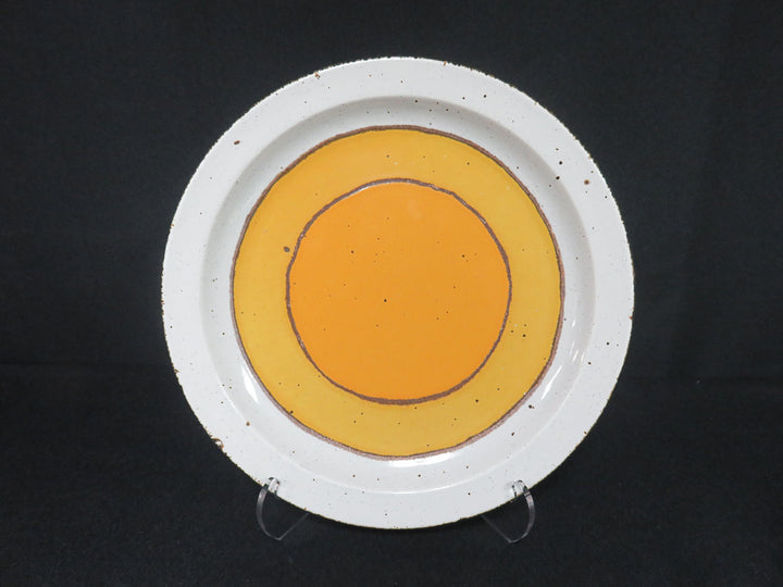 Midwinter Dinnerware Set
