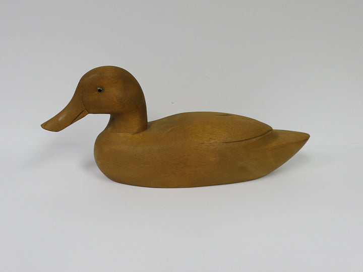 Duck Decoy