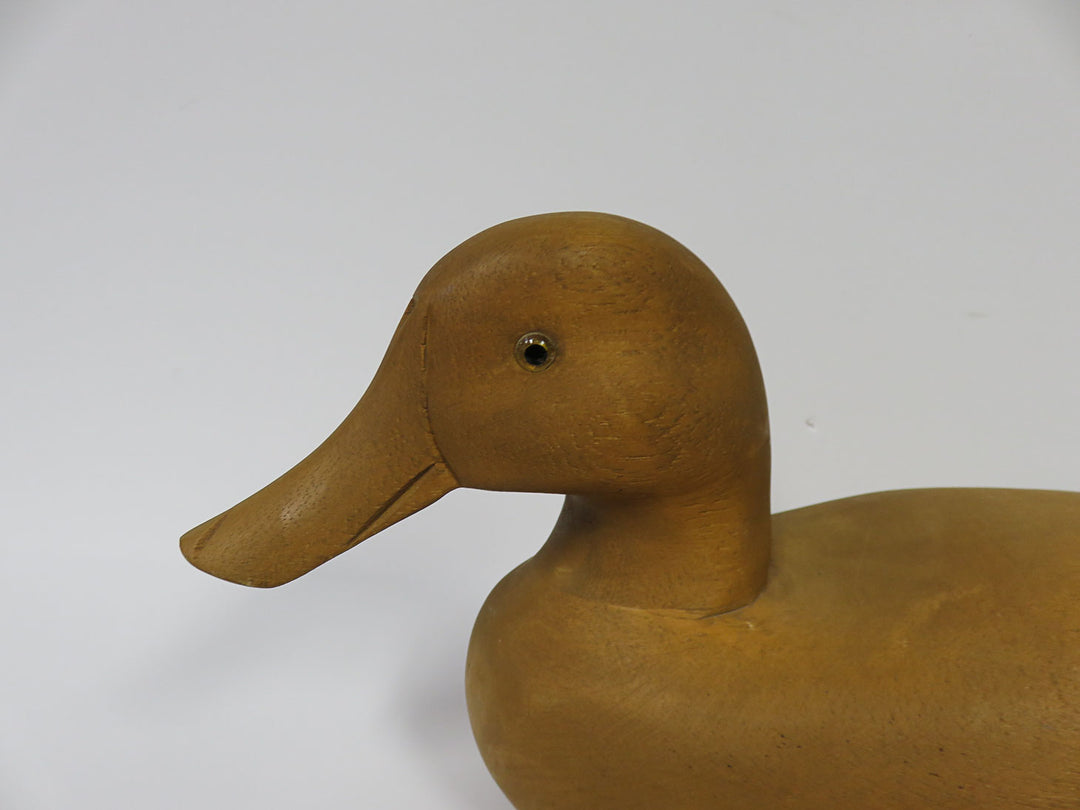 Duck Decoy