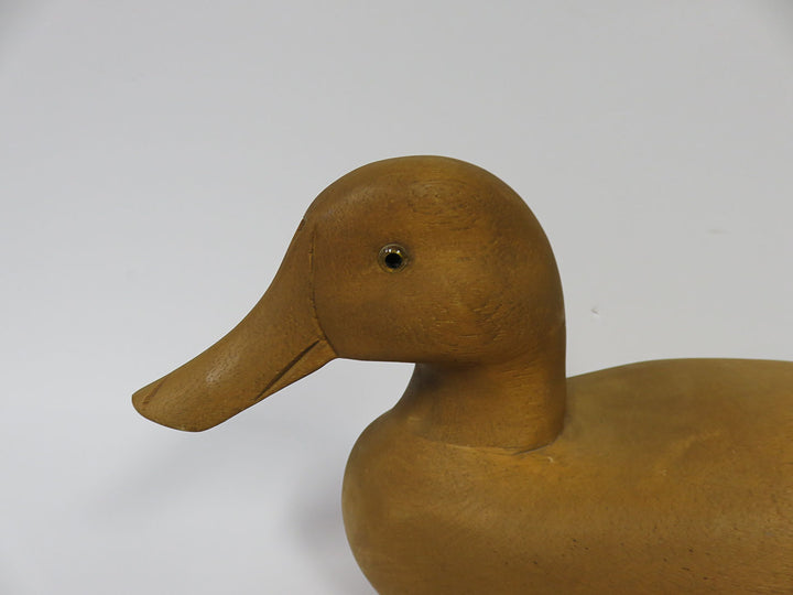 Duck Decoy