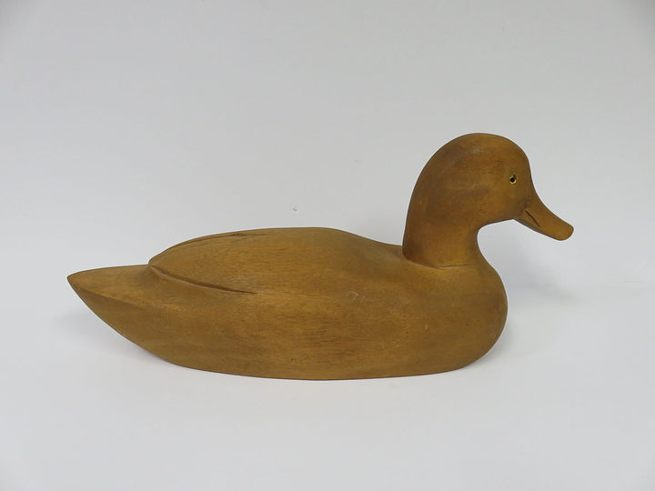 Duck Decoy
