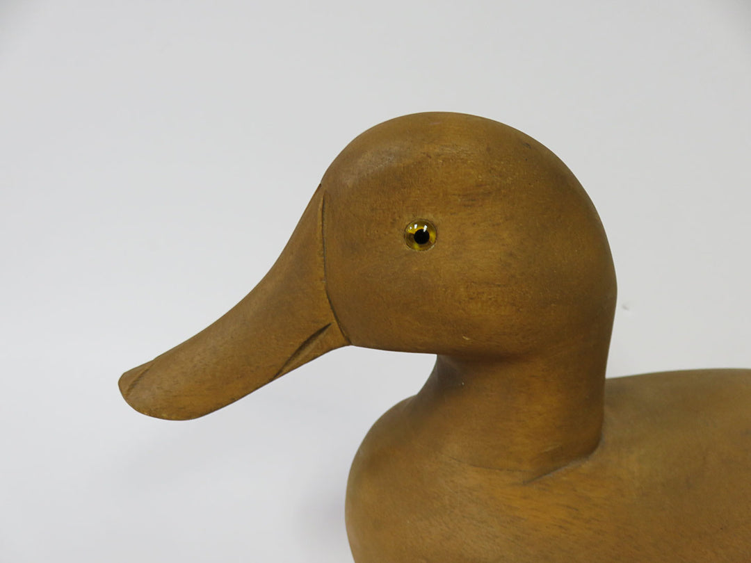 Duck Decoy