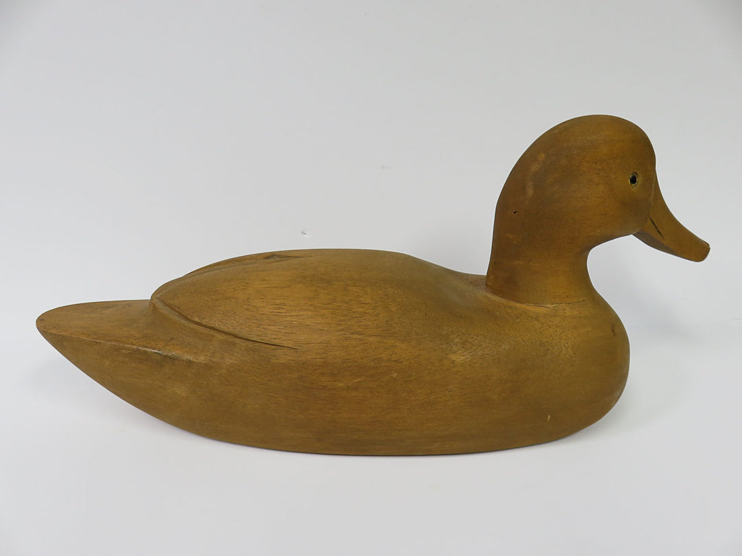 Duck Decoy