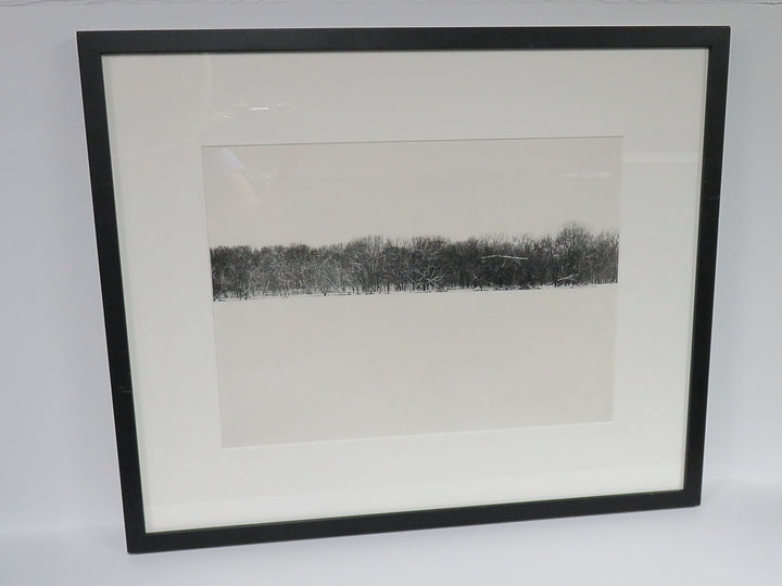 Winter Scene Photograph