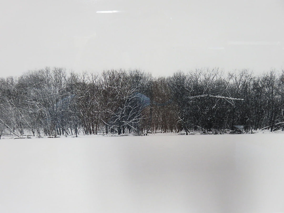 Winter Scene Photograph