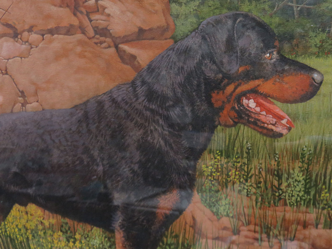 Rottweiler Artwork - Original