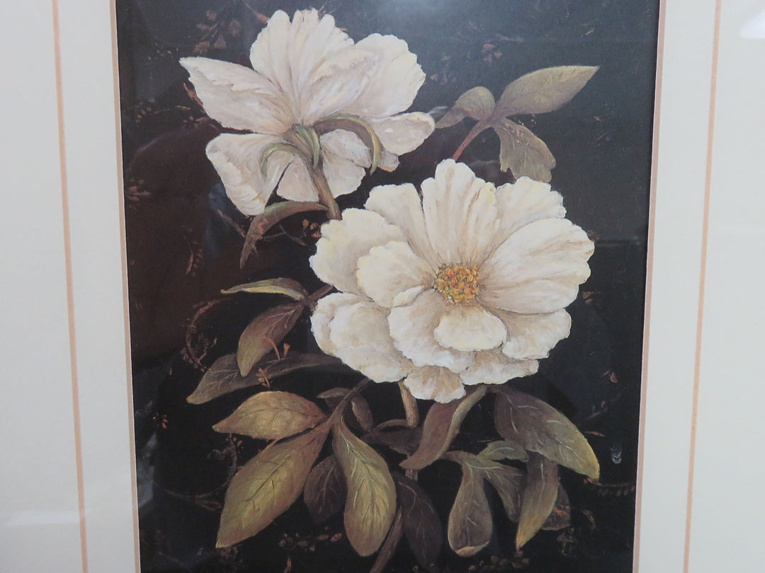 Botanical Print