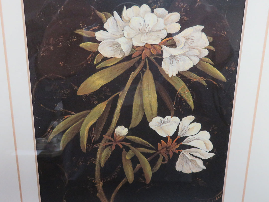 Botanical Print