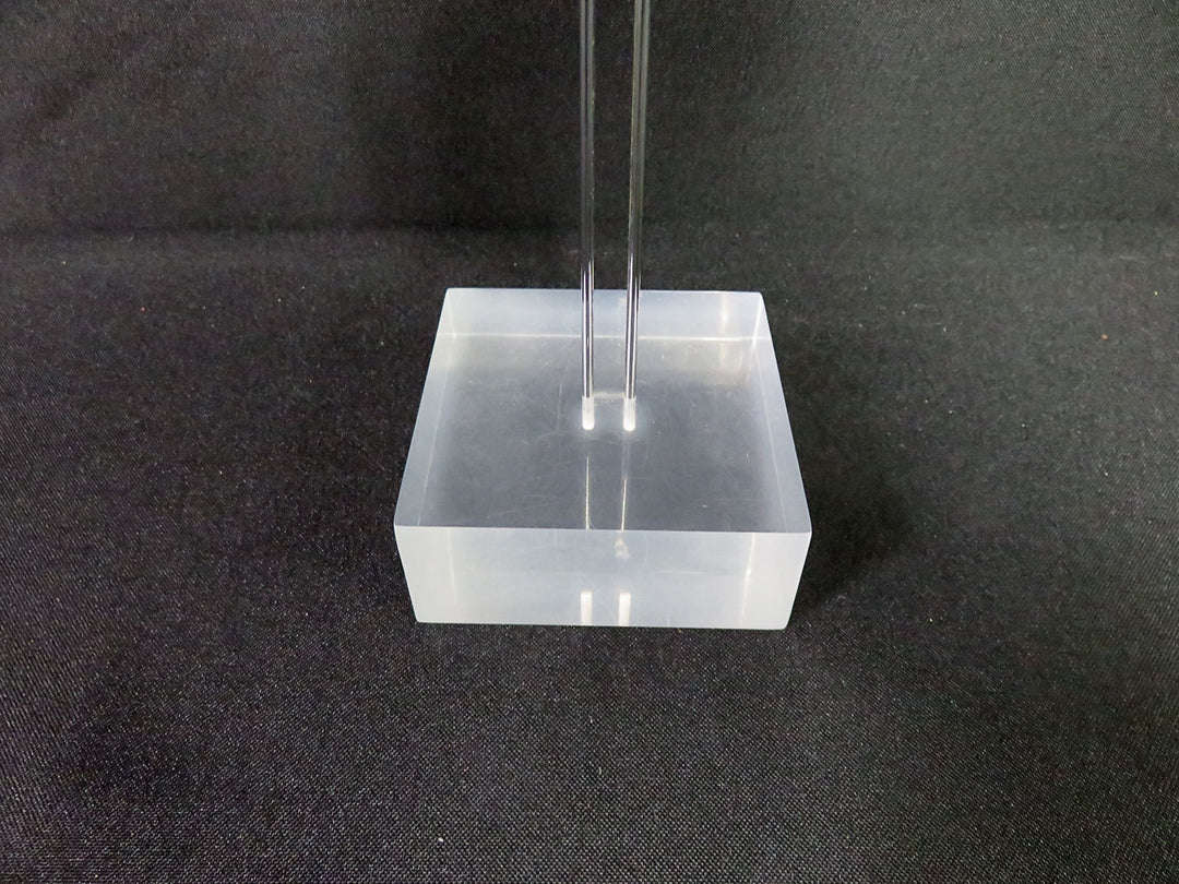 Mounted Shell Sculpture