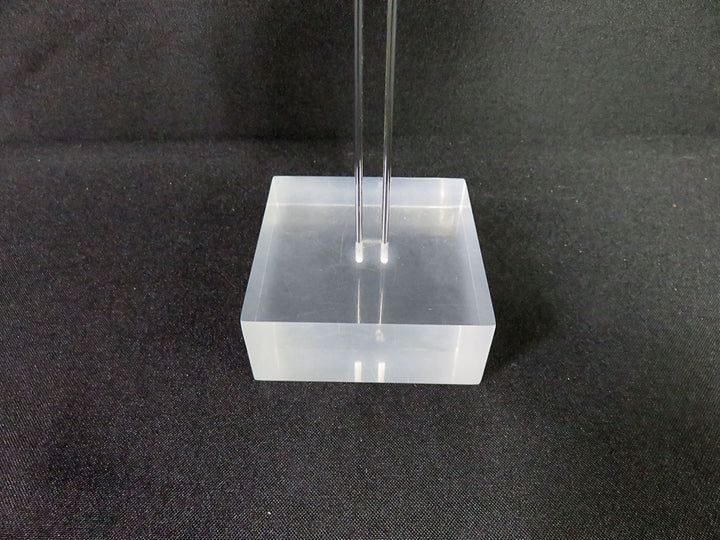 Mounted Shell Sculpture