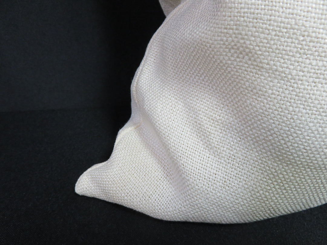 Pottery Barn Throw Pillow