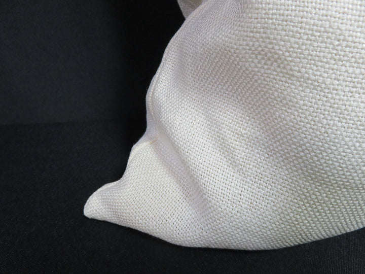 Pottery Barn Throw Pillow