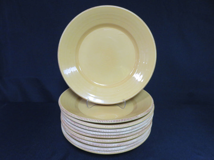 Pottery Barn Dinner Plates