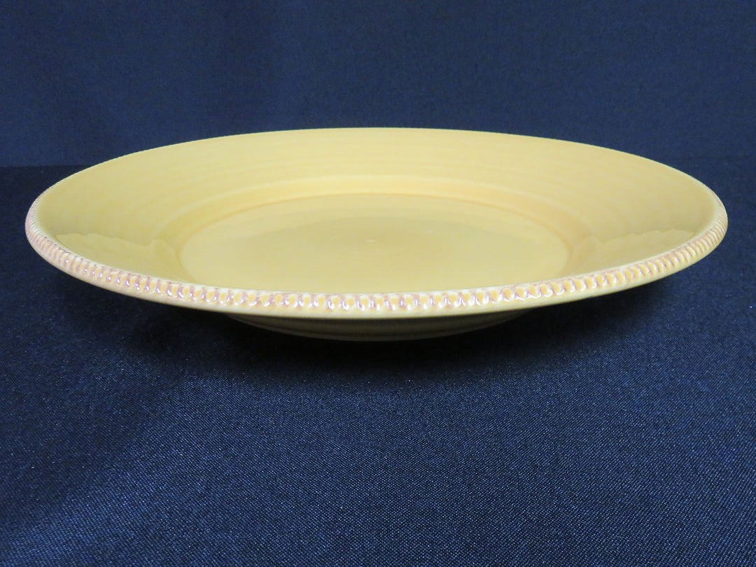Pottery Barn Dinner Plates