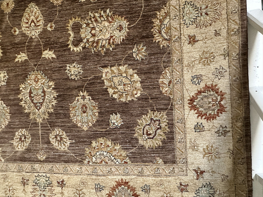 Area Rug