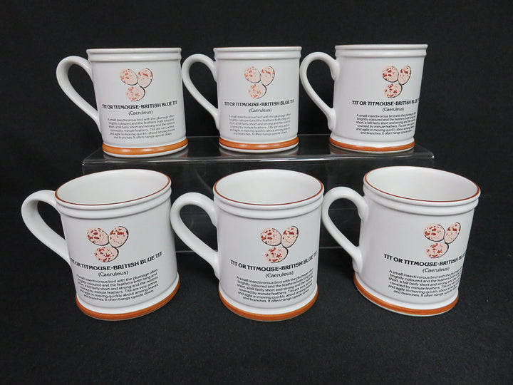 Denby Mugs Set