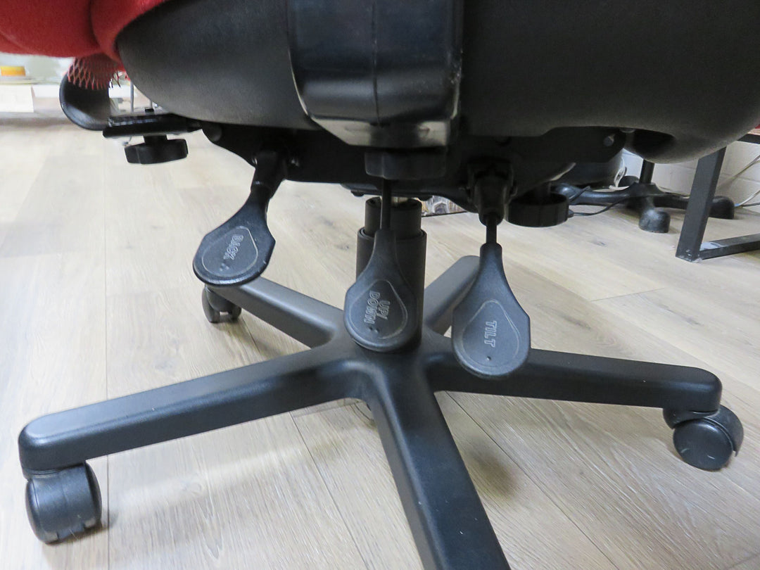 Bodybuilt Ergonomic Office Chair