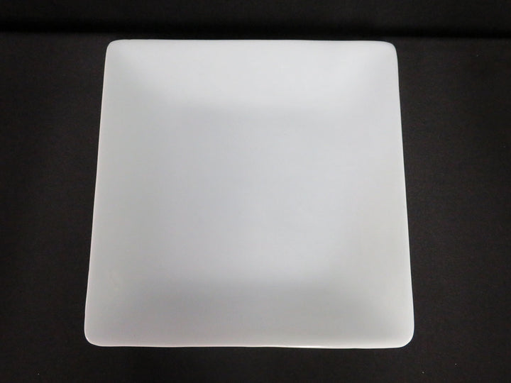 Williams Sonoma Platter