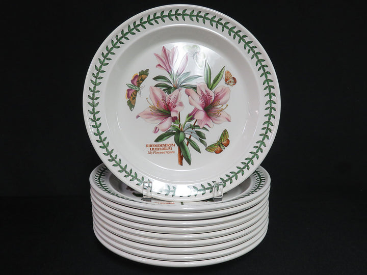 Portmeirion Dinner Plates