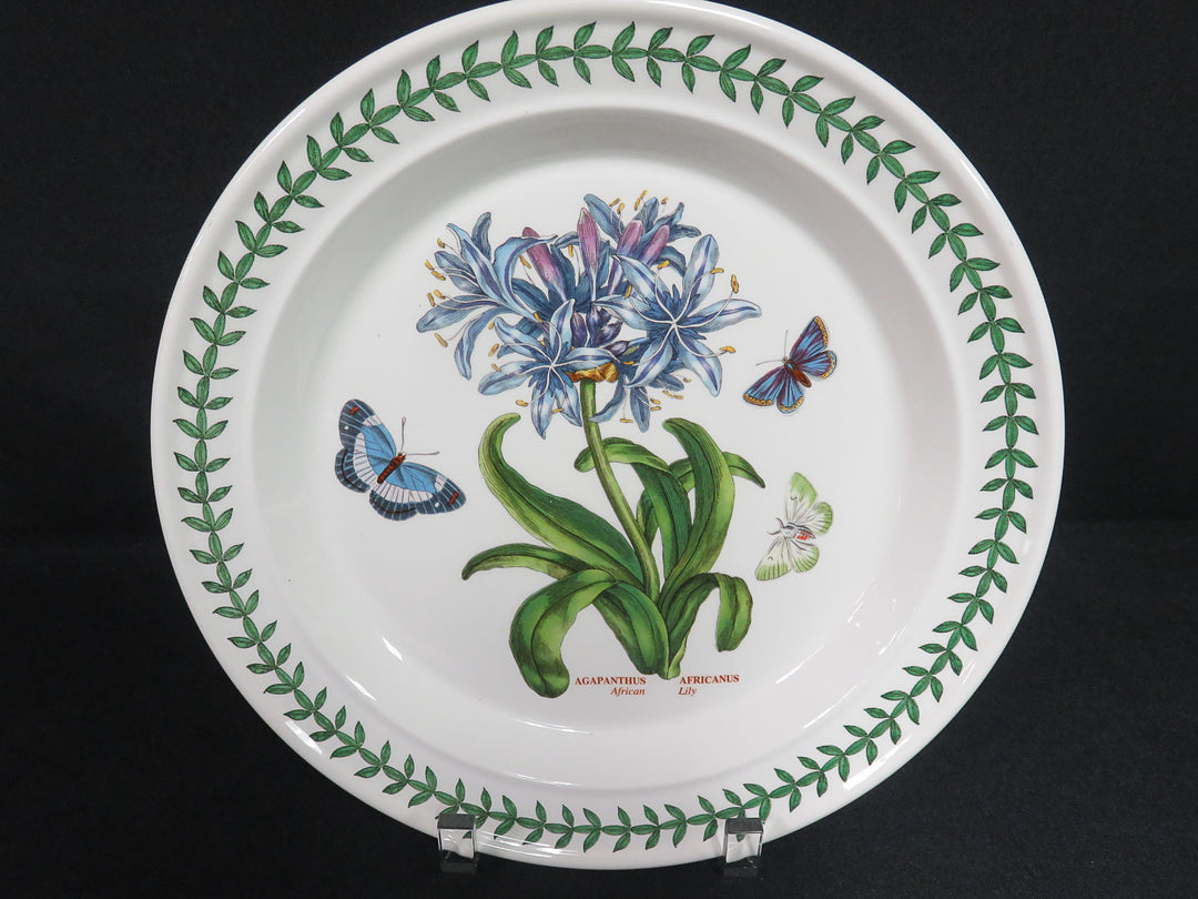 Portmeirion Dinner Plates