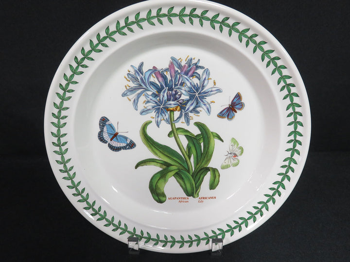 Portmeirion Dinner Plates
