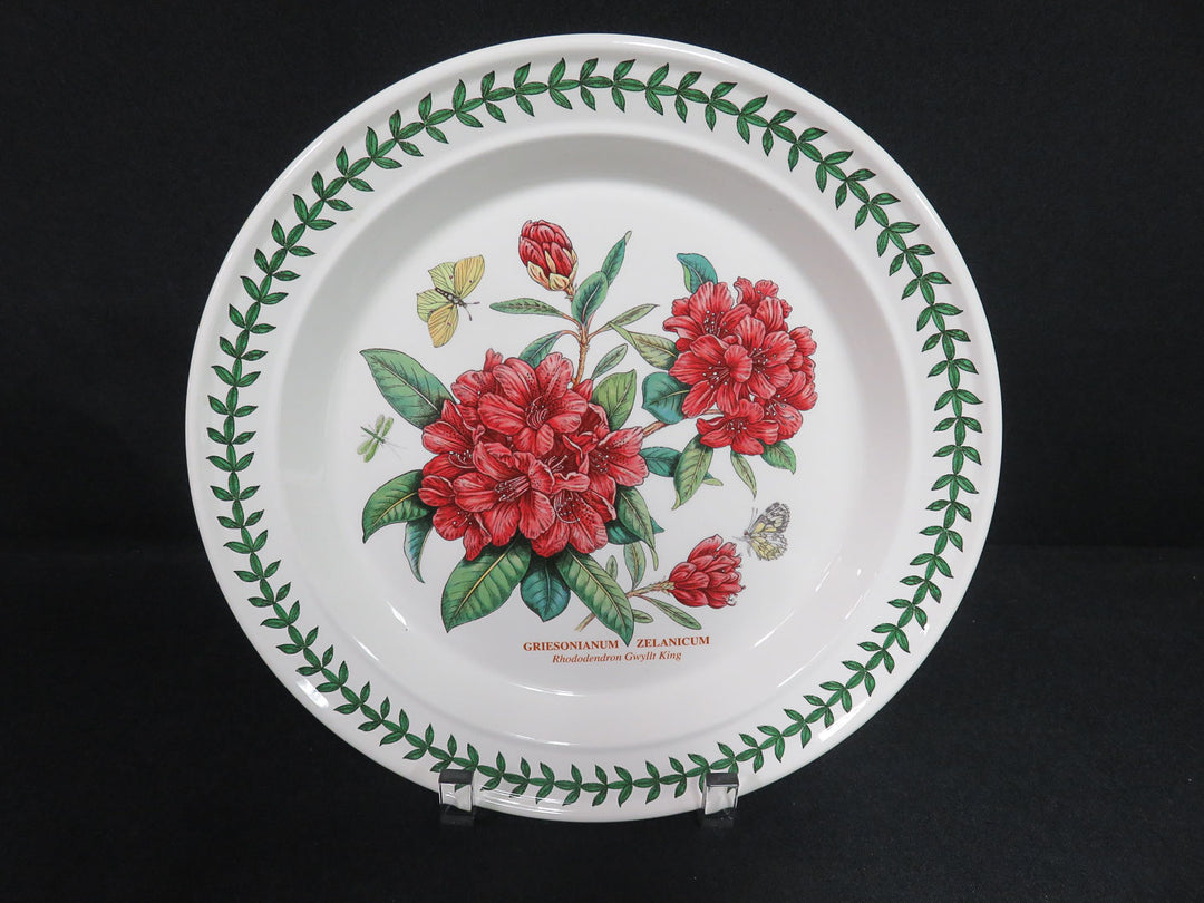 Portmeirion Dinner Plates