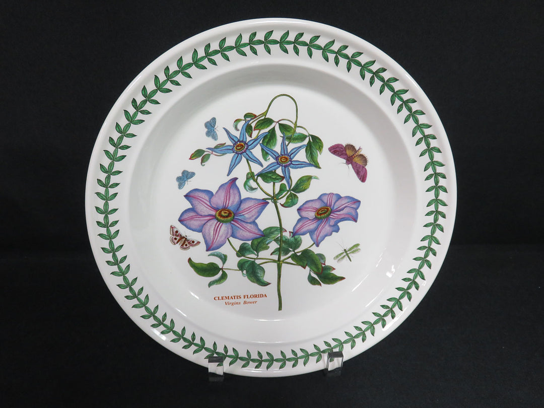 Portmeirion Dinner Plates