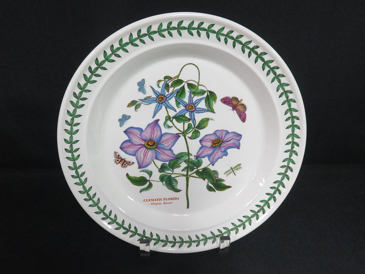 Portmeirion Dinner Plates