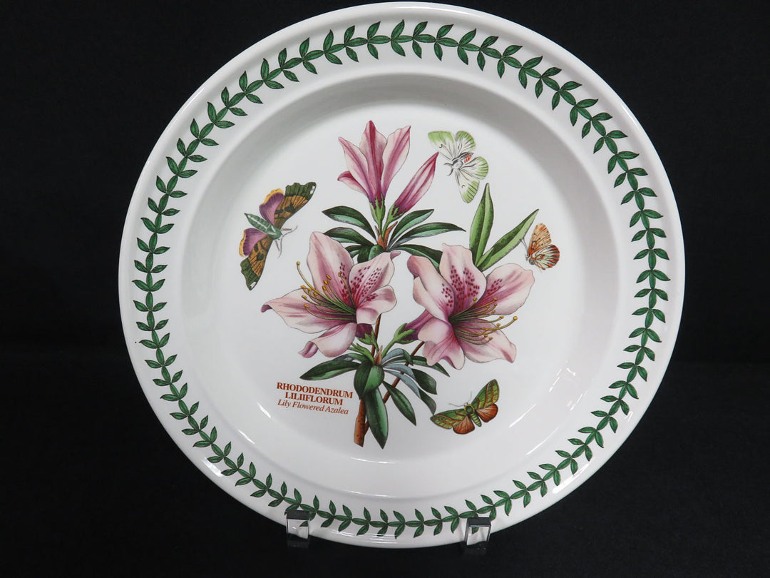 Portmeirion Dinner Plates