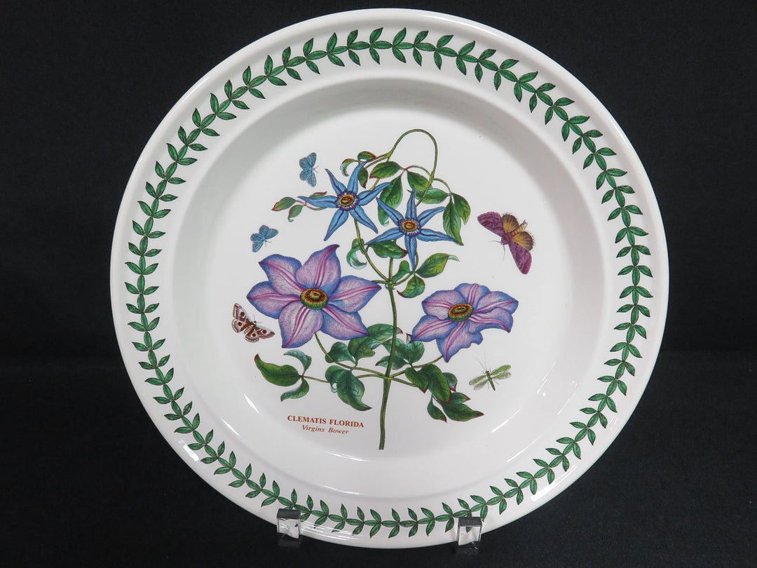 Portmeirion Dinner Plates