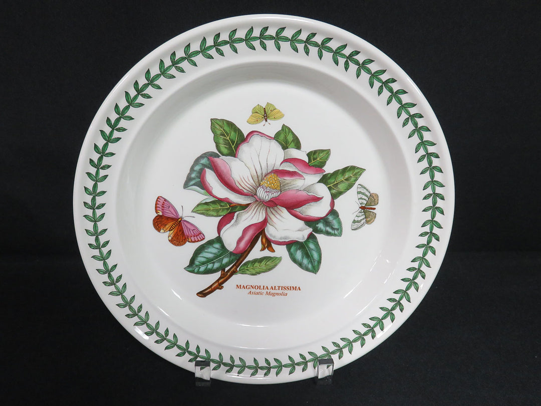 Portmeirion Dinner Plates