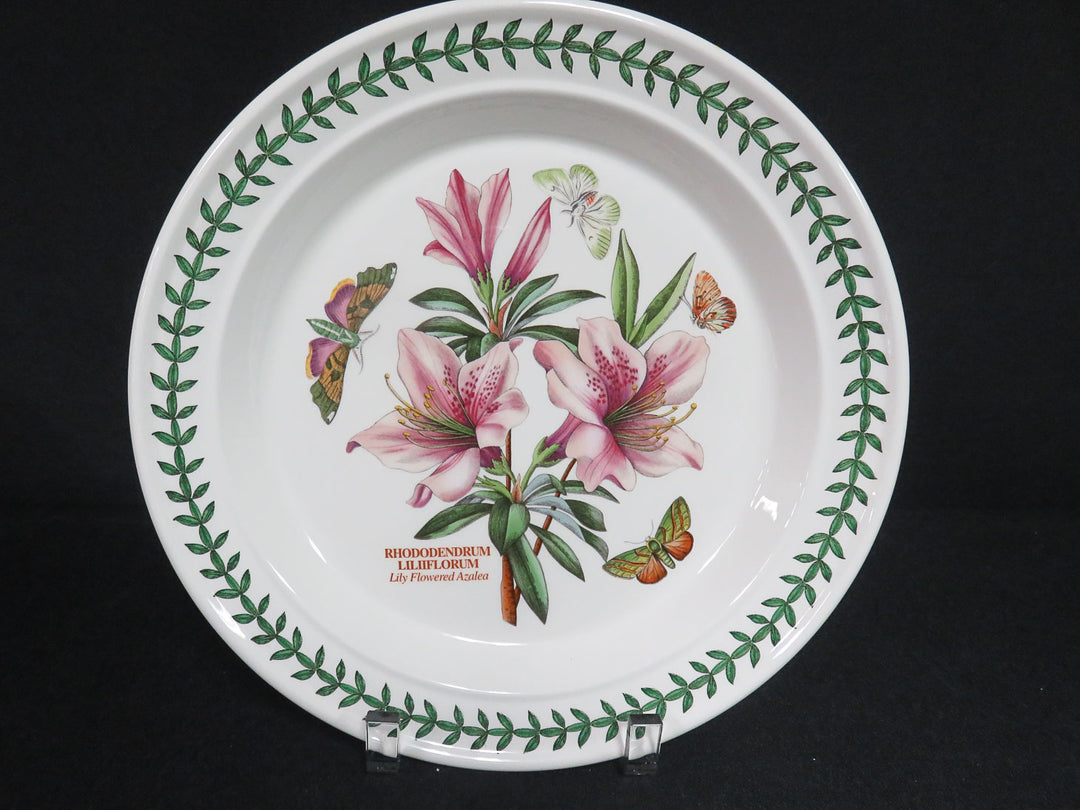 Portmeirion Dinner Plates